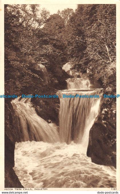 R145108 Pecca Twin Falls. Ingleton. Walter Scott. No 1181