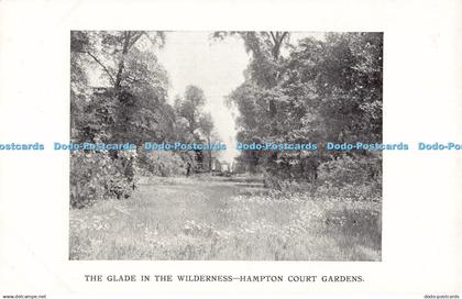 R193239 The Glade in the Wilderness Hampton Court Gardens