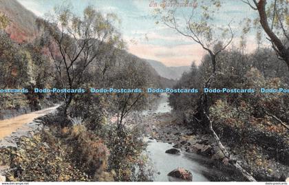 R297557 In Borrowdale Valentine 1904