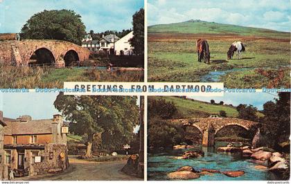 R365329 Greetings From Dartmoor Two Bridge Dartmoor Ponies Plastichrome by Colou