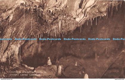 R448326 Countless Stalactite Pencils in Gough Caves Cheddar Gough Caves Cheddar