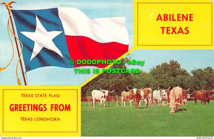 R519764 Texas State Flag. Greetings From Texas Longhorn. Abilene Texas. Walcott.