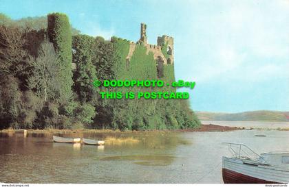 R533864 Laugharne Castle. Carmarthenshire. Salmon