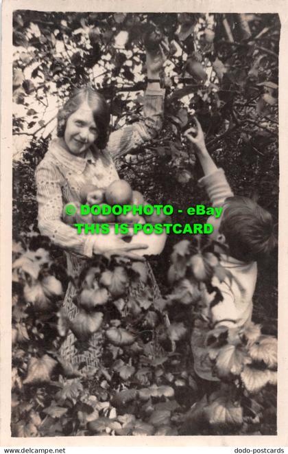 R540945 Children with Apples. Postcard