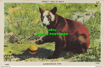 R598149 Bearly Able to Write. Adirondack Mts. Colourpicture Publication