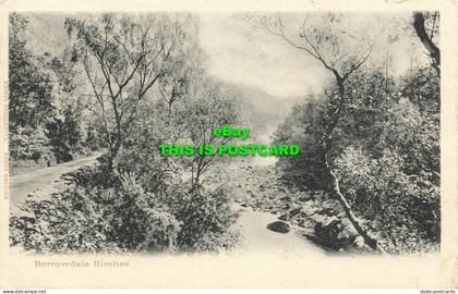 R599449 Borrowdale Birches. 1911