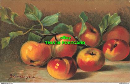 R601666 Apples. Painting. Proprieta Artistica Riservata. Visto Rev. Stampa. Mila