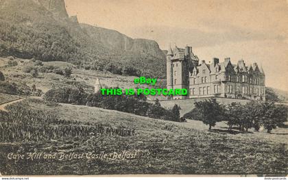 R607420 Cave Hill and Belfast Castle. Belfast. 26869. W