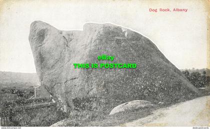 R609757 Albany. Dog Rock. Postcard