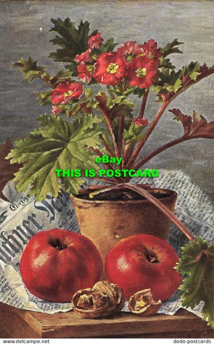 R610026 Flowers in a pot. Apples. Nuts. S. Hildesheimer. No. 5265