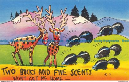 R631584 Two Bucks and Five Scents. A Colourpicture Publication. Asheville Post C