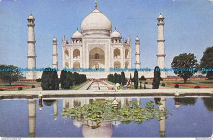R636392 Agra. Taj Mahal