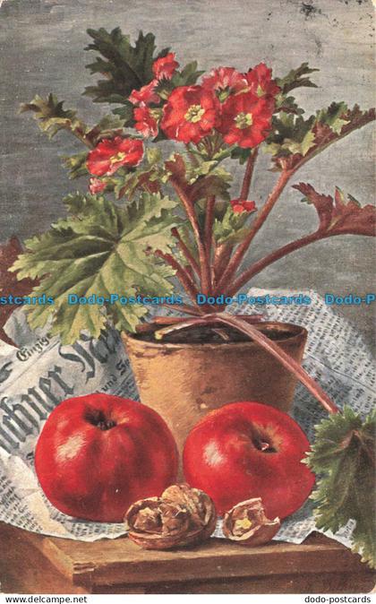 R663887 Flowers. Apples. S. Hildesheimer. No. 5265. 1905