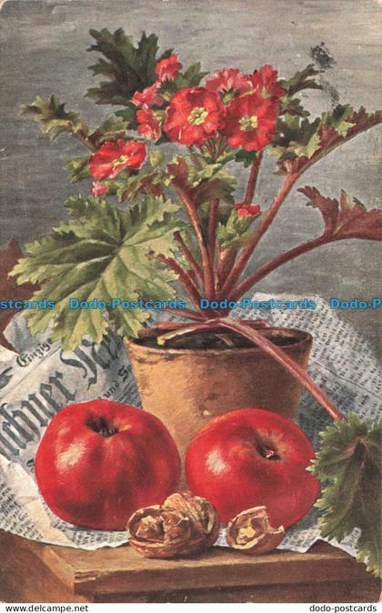 R663888 Flowers. Apples. S. Hildesheimer. No. 5265. 1905