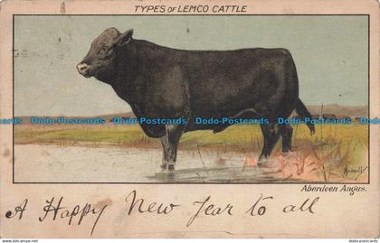 R671264 Types Of Lemco Cattle. Aberdeen Angus. 1903