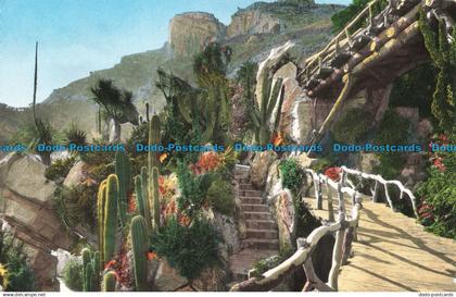 R671724 Jardin Exotique de Monaco. Massif de Pachycereus. Jardin Exotique. S. A.
