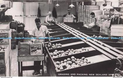 R694336 Grading and Packing New Zealand Apples. Imperial Institutes. Watkinson.