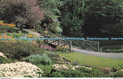 R723251 Ipswich The Arboretum Postcard