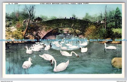 R746711 New York Vine Arch Bridge Central Park