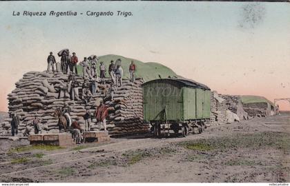 ARGENTINA - La Riqueza Argentina, Cargando Trigo, Postcard 1917