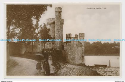 C008478 Blackrock Castle. Cork. Milton