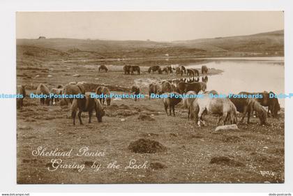 C019402 Shetland Ponies Grazing by the Loch. RP. 1935