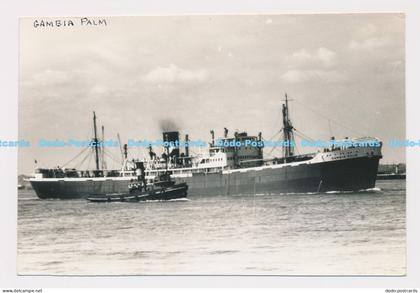 C021638 Gambia Palm. N Fleet. 1953. Ship. Photo