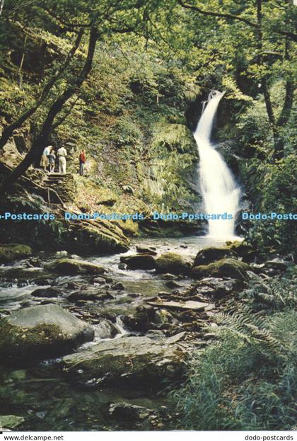 D001071 Dolgoch Falls. Merionethshire. J. Arthur Dixon