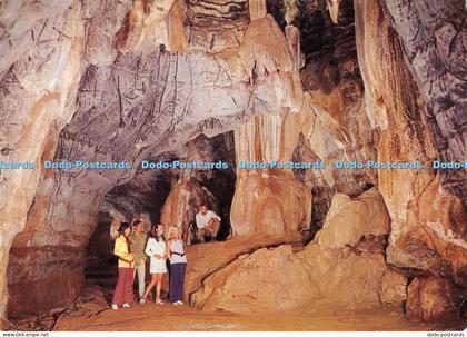 D001216 Sudwala Caves. Schagen. Eastern Transvaal. Artco