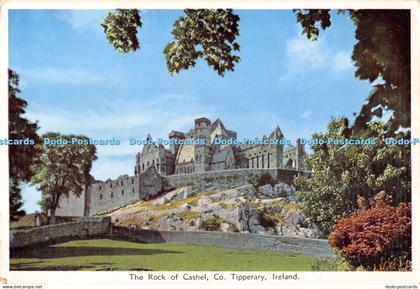 D007132 The Rock of Cashel. Tipperary. Ireland. Cardall