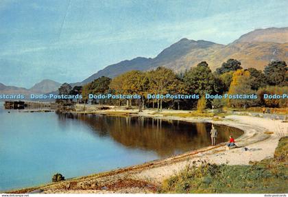 D007865 Loch Lomond. Rowardennan. Stirlingshire. Mountains. Scandinavian Fiord.