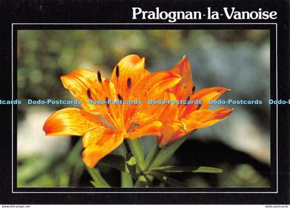 D010374 Pralognan. La Vanoise. Lys Orange. M Vion Gare