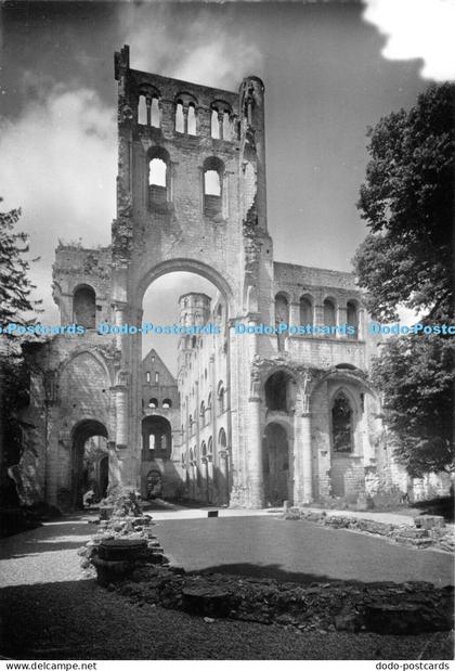 D010589 Jumieges. Ruines de l Abbaye