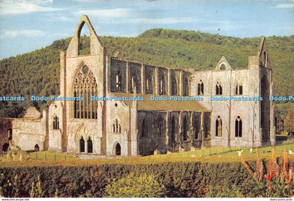 D029294 Tintern Abbey. Monmouthshire. John R. Edwards. Dixon. 1961