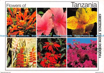 D048172 Flowers of Tanzania. Greetings from Dodoma. Tanzania Printers Limited. P