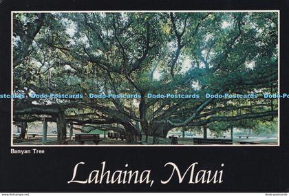 D053469 Lahaina. Maui. Banyan Tree. Maui Sales. Royal Mini Print. Mike Roberts