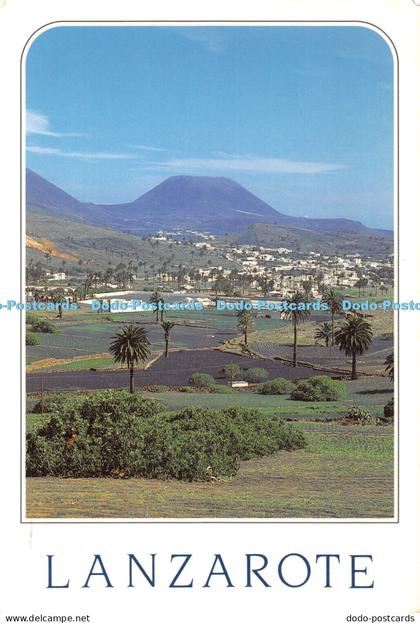 D054011 Lanzarote. Haria. A. Murillo. Postcard. 1994