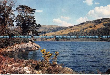 D054446 Inverness Shire. Loch Oich. J. Arthur Dixon