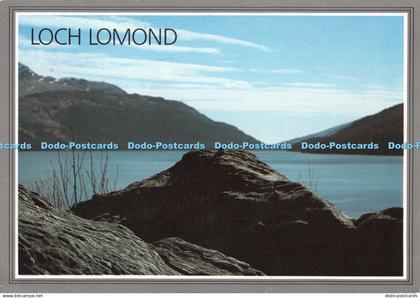 D094270 Loch Lomond. Dunbartonshire. David P. Griffiths. Dixon. 1995