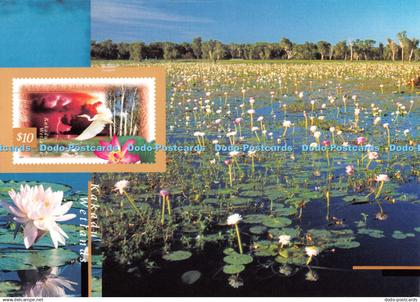 D097226 Kakadu Wetlands. Nature of Australia. Yellow Waters Billabong Nick Rains