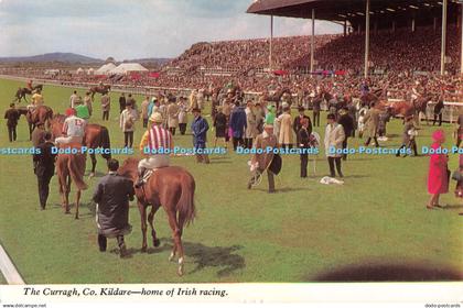 D106673 The Curragh. Co. Kildare. home of Irish Racing. Penman Cards. 1972