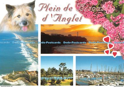 D109785 Plein de Bisous d Anglet. Thouand. Multi View