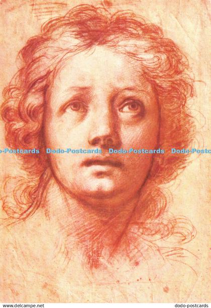 D112263 Parigi. Museo del Louvre. Gab. Disegni e Stampe. P119. Franceschini. Por