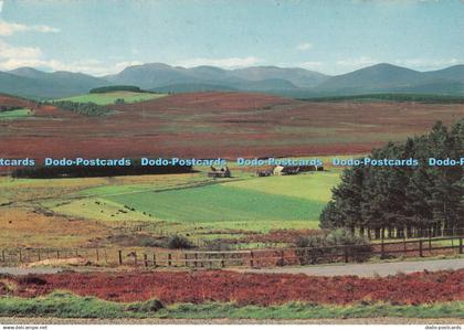 D115892 The Cairngorm mountains from the Grantown. Tomintoul Road. J. B. White.