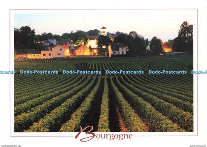 D145443 Bourgogne. Gevrey Chambertin a laube. Olivier Anger. Combier Macon. 2009