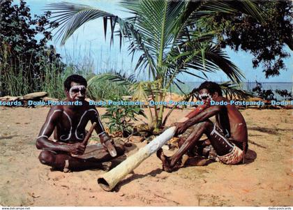 D148386 Australian Aborigines Playing the Didgeridoo and Tapping Sticks. Nucolor