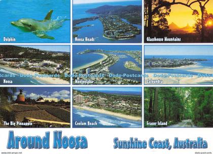 D148932 Around Noosa. Sunshine Coast. Australia. Dolphin. Australia the Gift. 20