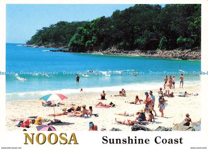 D159882 Noosa. Sunshine Coast. Wren Souvenirs