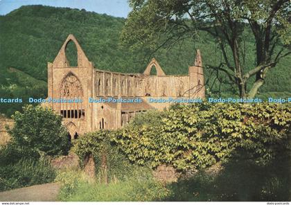 D178364 Monmouthshire. Tintern Abbey. View from South West. Pix Photos