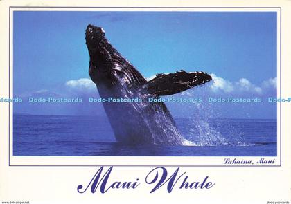 D191123 Lahaina. Maui Whale. Island Heritage. D. A. Glockner Ferrari